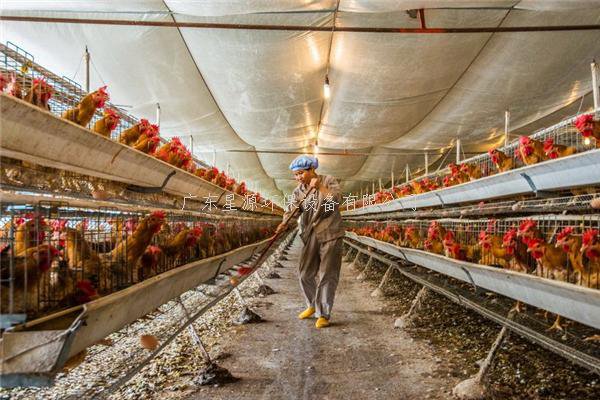 養(yǎng)殖廢水如何處理？養(yǎng)雞廢水處理方案（含工藝流程圖）